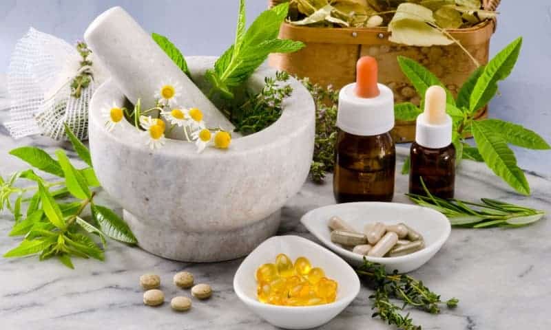 Plantes pour booster votre immunité naturellement