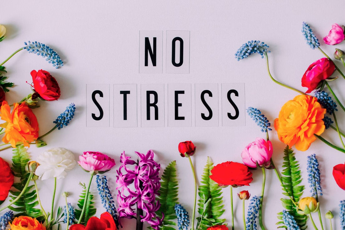 Techniques simples pour réduire le stress et apaiser l'esprit