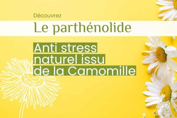Parthénolide : anti-stress naturel extrait de la camomille
