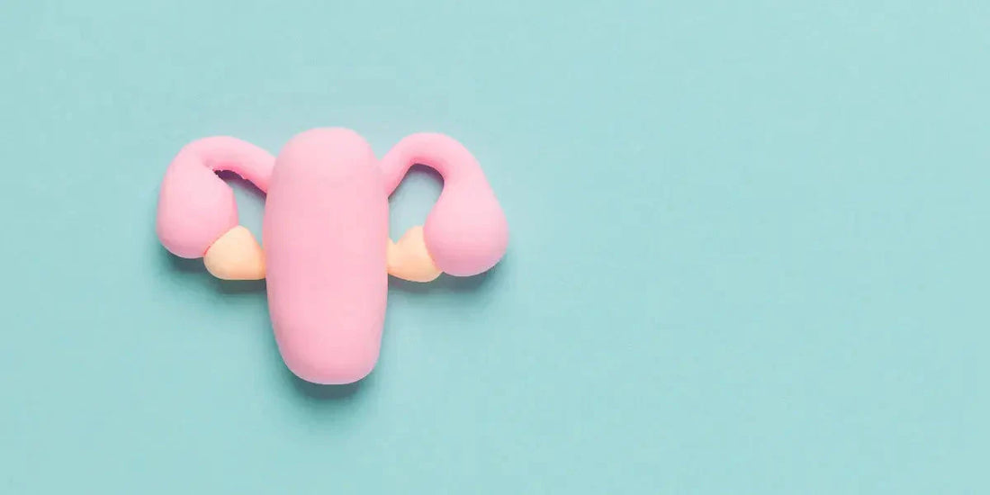 Endométriose : Symptômes, traitements et solutions naturelles