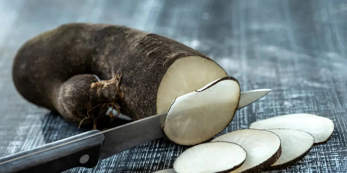 Radis noir : un allié naturel pour détoxifier votre corps