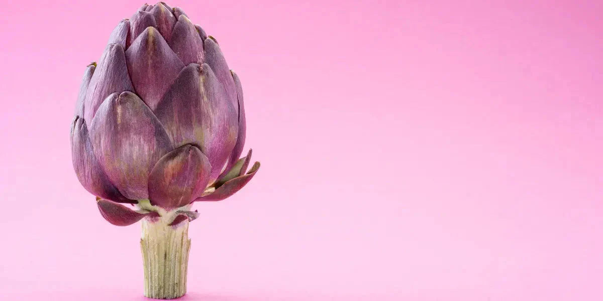 Artichaut : un allié détox pour le foie et la digestion