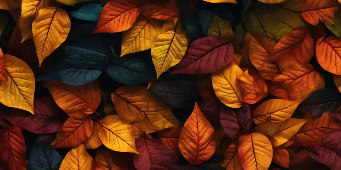 Préparer son corps pour l'automne : bien-être et immunité