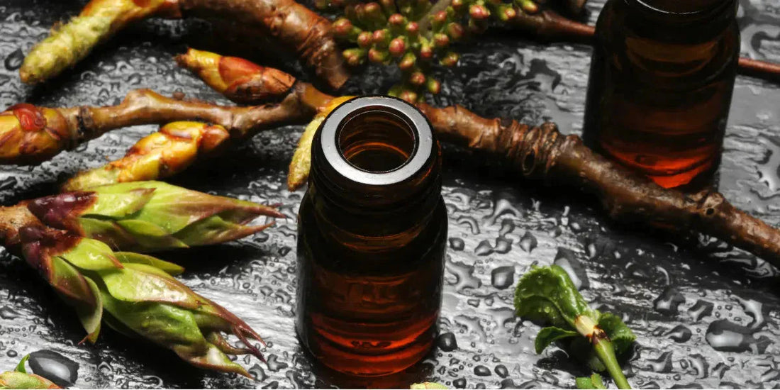 Gemmothérapie : ses bienfaits pour la santé et le bien-être