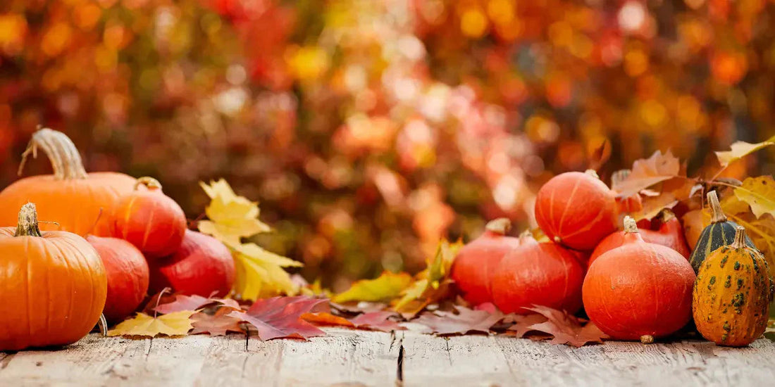 Bien manger en automne : conseils et aliments de saison