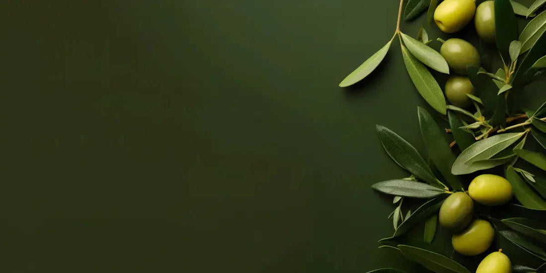 L'olivier : ses bienfaits pour le corps et la santé