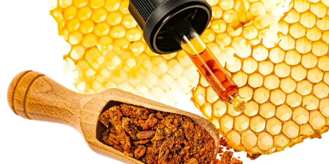 Les bienfaits antioxydants et réparateurs de la propolis