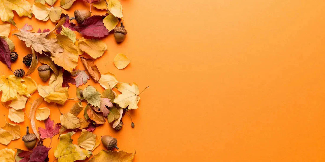 Les huiles essentielles indispensables pour l'automne