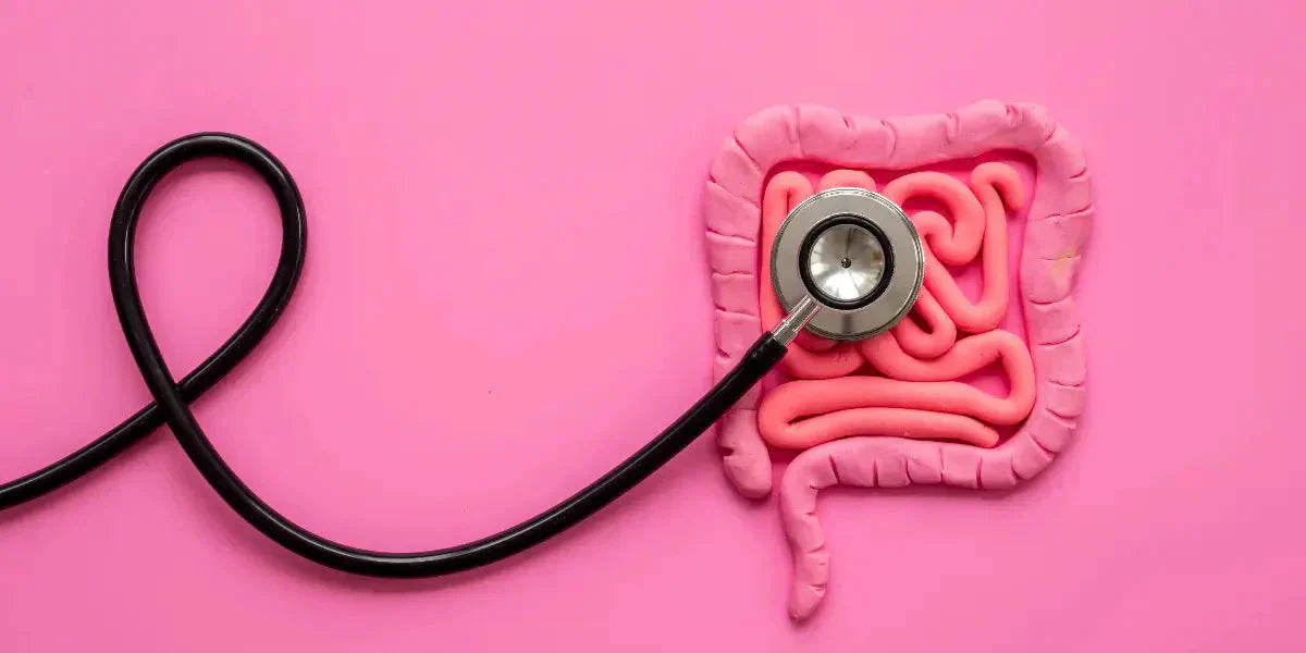 Microbiome et stress : un lien méconnu mais essentiel