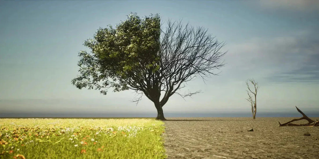 Pollution et santé: impacts et solutions pour  se protéger