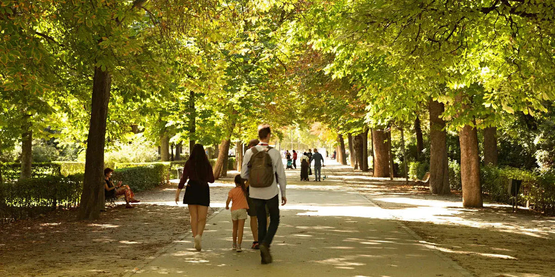 Bienfaits de la marche matinale pour le corps et l'esprit