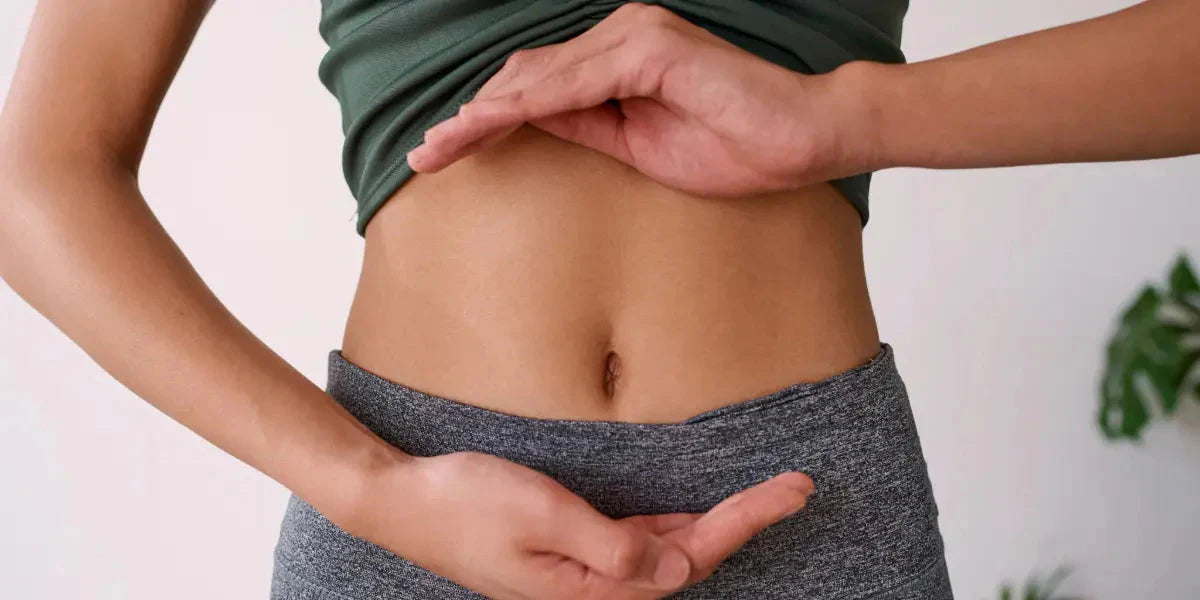 Sommeil et microbiome :  relation essentielle pour la santé