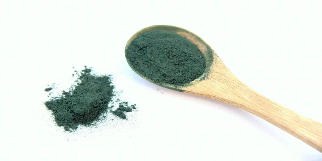 Spiruline : Ses bienfaits pour la santé et l'énergie