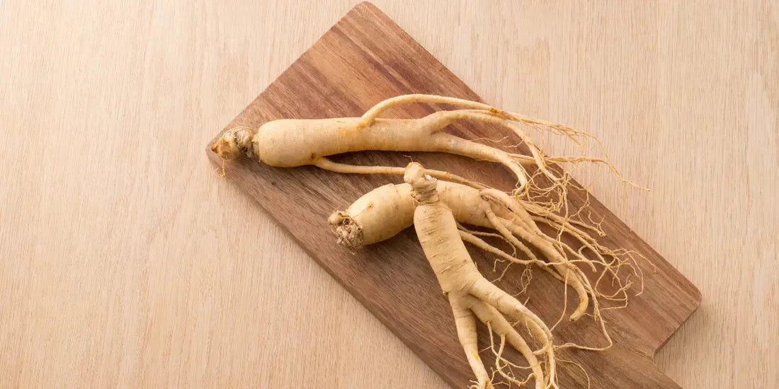 Les bienfaits prouvés du ginseng rouge pour la santé