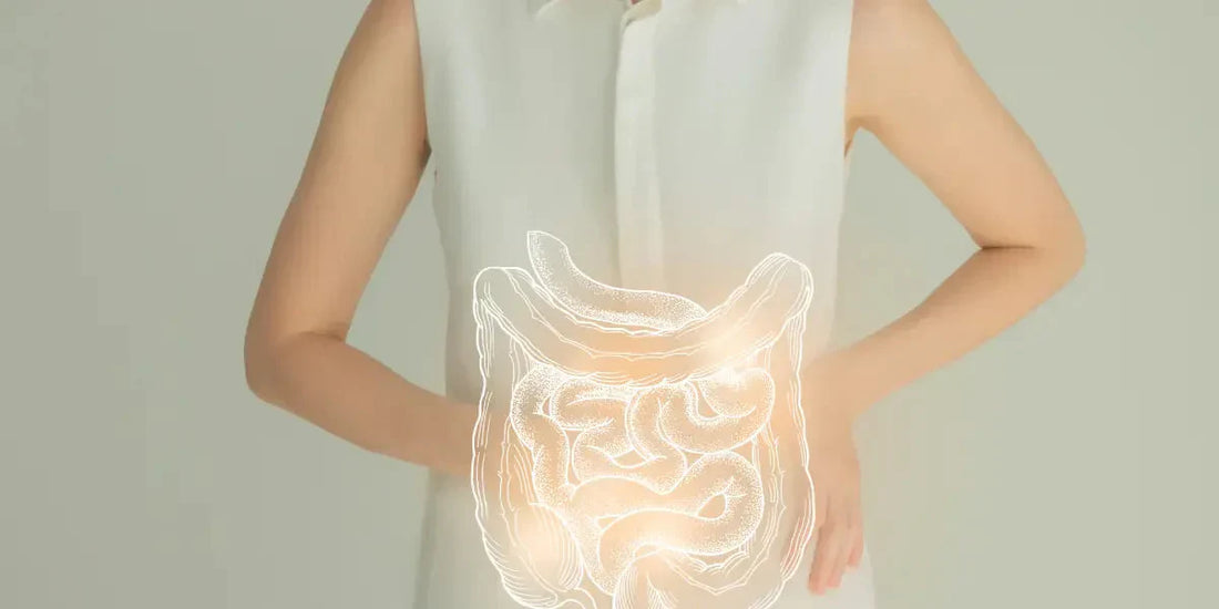 Le Syndrome de l’Intestin Irritable