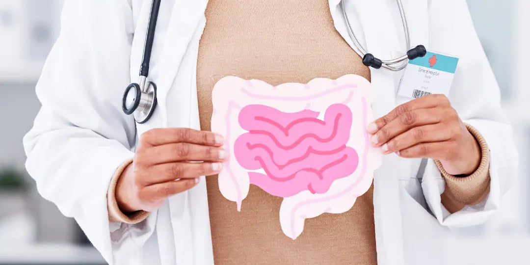 le Microbiote intestinal  contre les douleurs articulaires