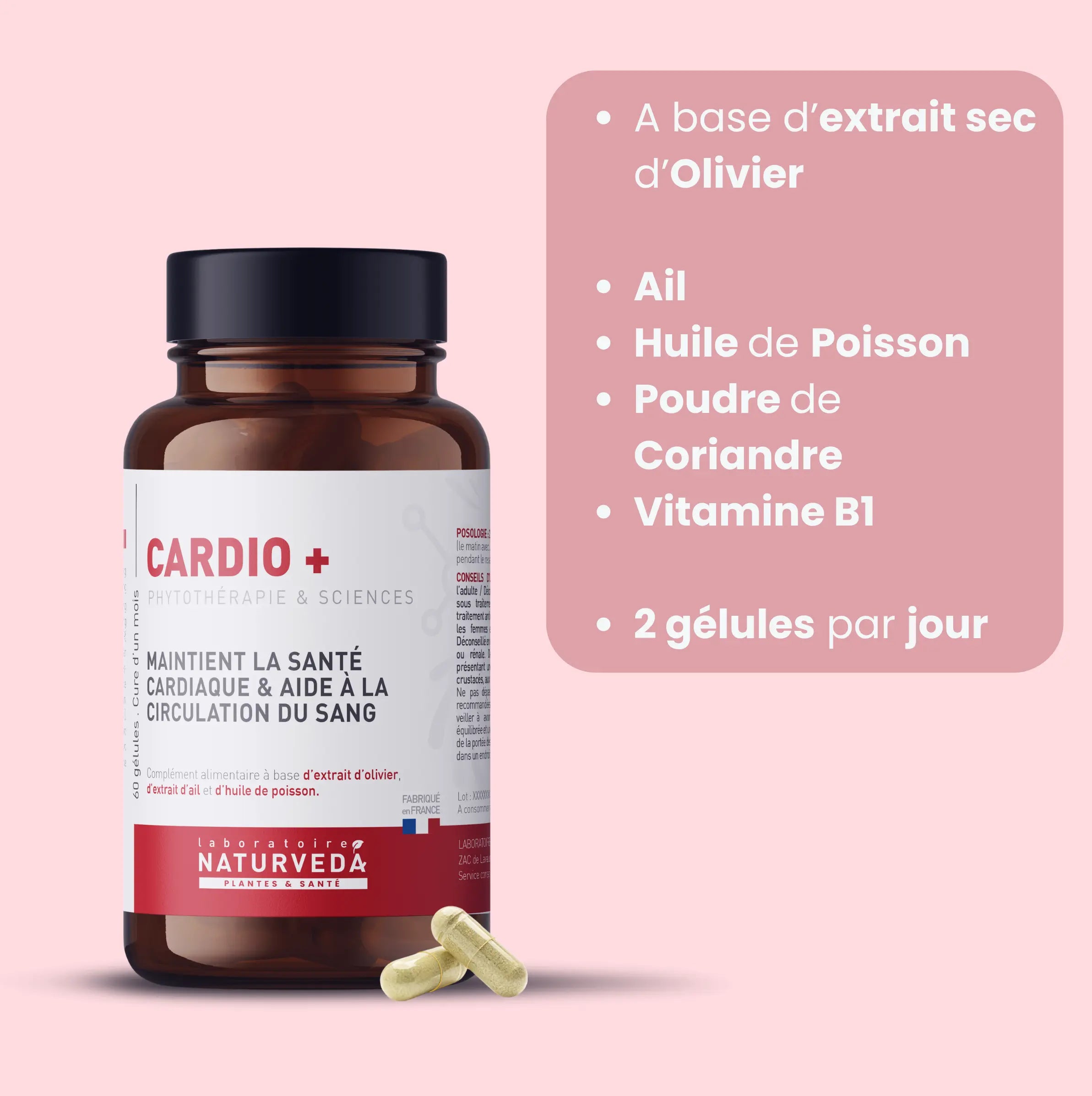 Cardiovasculaire & Circulation