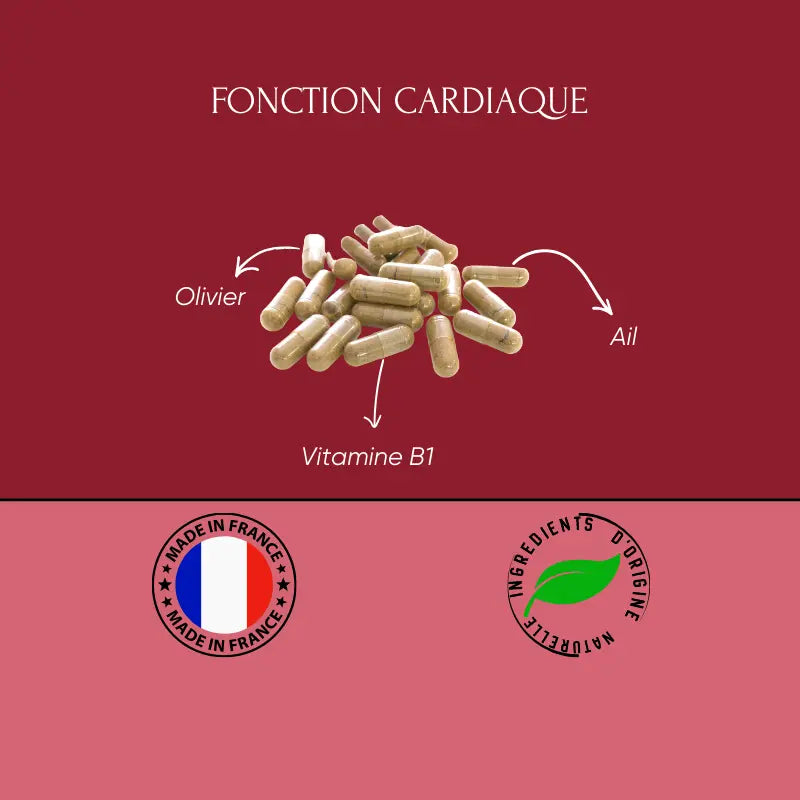 CARDIO+ | Système Cardiovasculaire