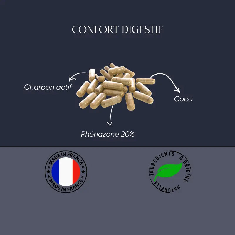 Charbon Végétal Activé | Confort Digestif & Réduction des Flatulences