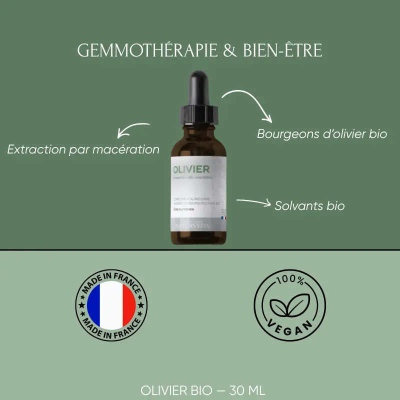 OLIVIER - Macérat de Bourgeons Bio