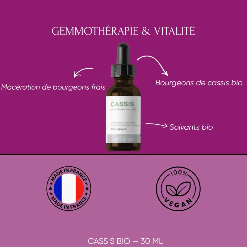 CASSIS - Macérat de Bourgeons Bio