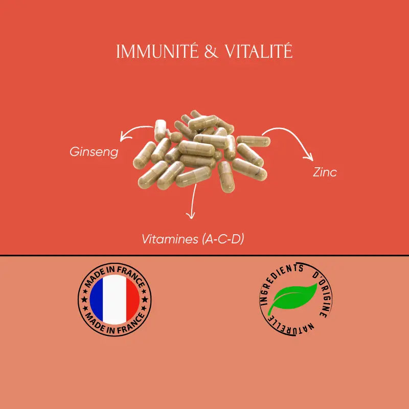 ALL-IN-1 Immunité & Vitalité – Complexe Multivitamines & Minéraux (24 Actifs Haute Performance)
