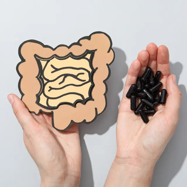 Organic Activated Charcoal - Aids Digestion and Intestinal Comfort