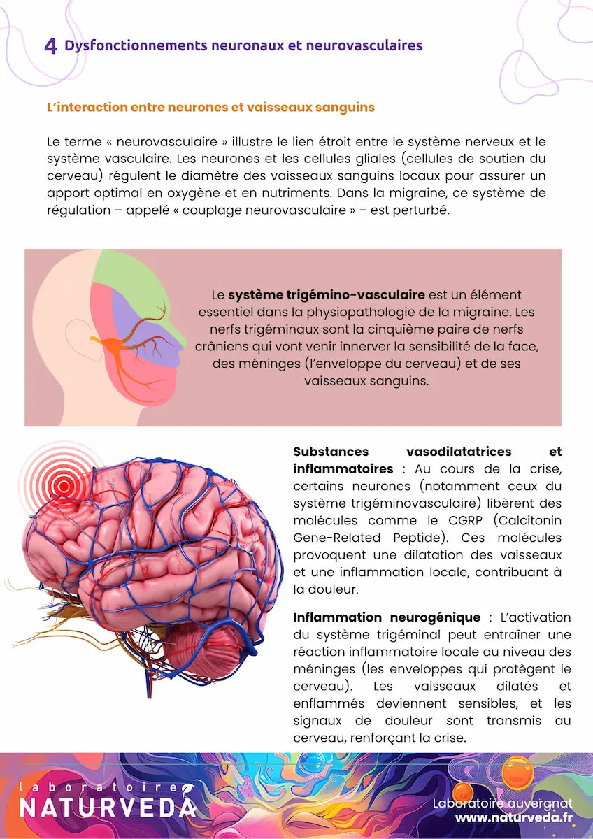 Programme Migraine & Maux de tête
