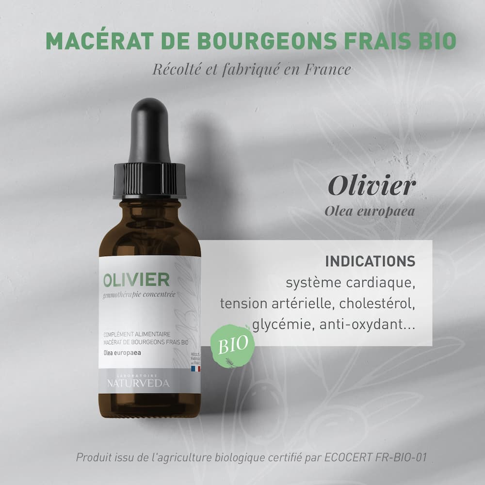 OLIVIER Organic Fresh bud macerate
