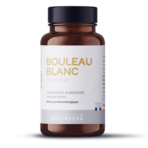 BOULEAU BLANC  Premium