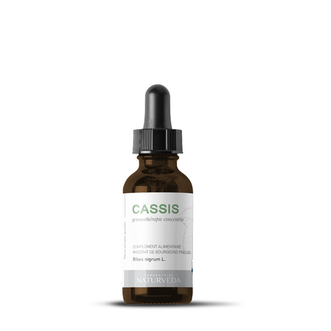 CASSIS Organic fresh bud macerate