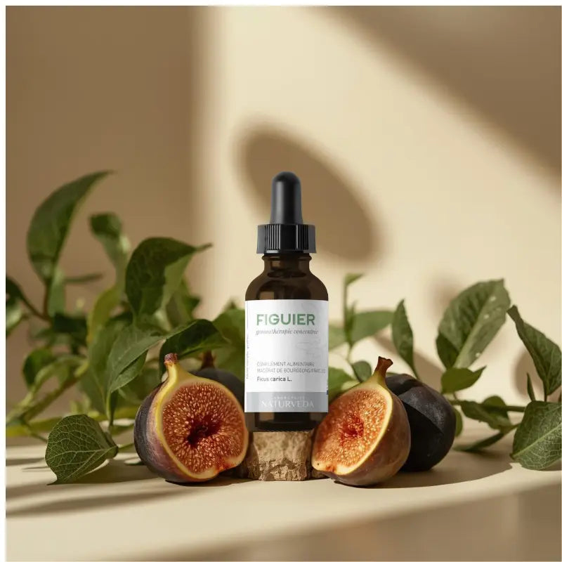 FIGUIER - Macérat de Bourgeons Bio