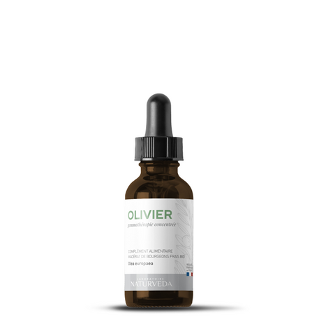 OLIVIER Organic fresh bud macerate